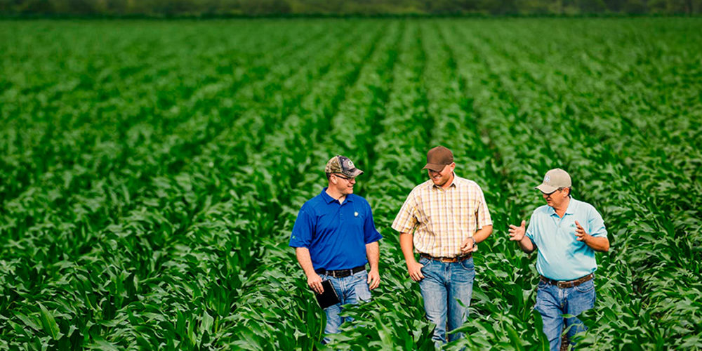 500cb937068271-573a3401e0cf5